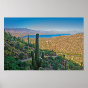 Póster EE.UU., Arizona. Vista Desde La Entrada A Tonto