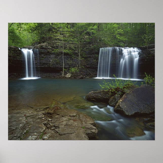 Póster EE. UU., Arkansas, Ozark- St Francis Nacional (Frente)