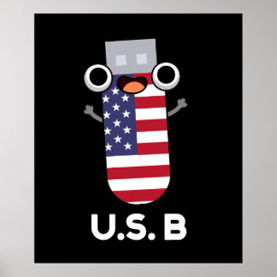 Póster EE.UU. B Funny Estados Unidos Pun Dark BG