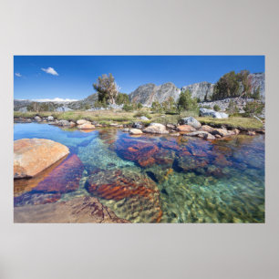 Póster EE. UU., California, Bosque Nacional Inyo 4