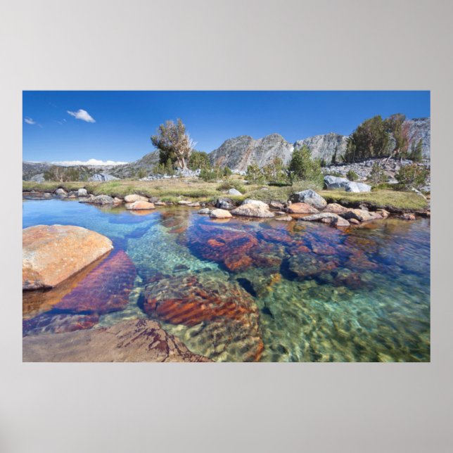 Póster EE. UU., California, Bosque Nacional Inyo 4 (Frente)