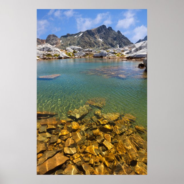 Póster EE. UU., California, Bosque Nacional Inyo 8 (Frente)