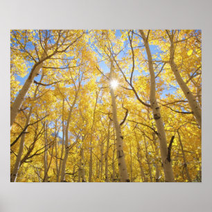 Póster EE. UU., California, Montañas de la Sierra Nevada.