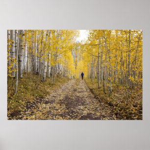 Póster EE. UU., Colorado, Bosque Nacional Gunnison cerca