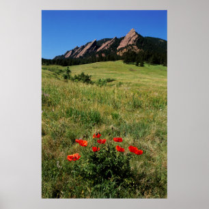 Póster EE. UU., Colorado, Boulder. Flatirons y amapolas
