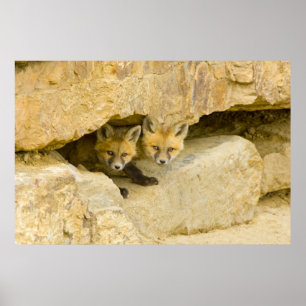 Póster EE.UU., Colorado, Breckenridge. Pterozoide