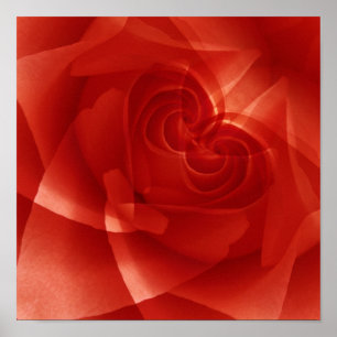Póster EE.UU., Colorado, Lafayette. Montaje de rosa roja