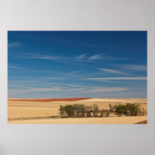 Póster EE. UU., Dakota del Sur, Murdo, paisaje de pradera