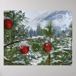 Póster EE.UU., Estado de Washington, condado de Chelan