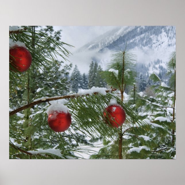 Póster EE.UU., Estado de Washington, condado de Chelan (Frente)