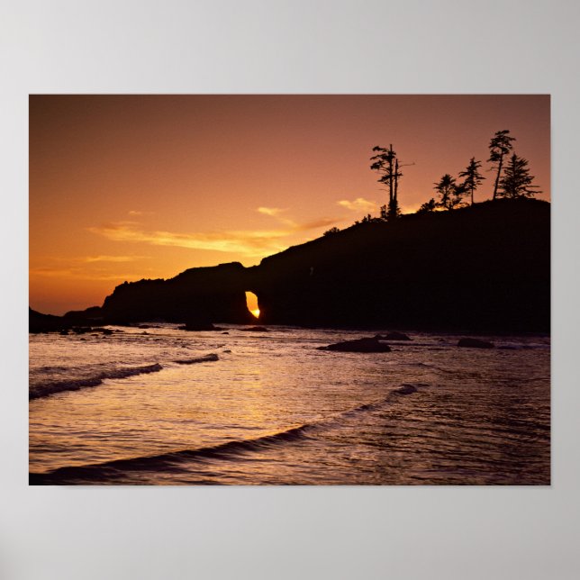 Póster EE. UU., Estado de Washington, Parque Nacional Olí (Frente)