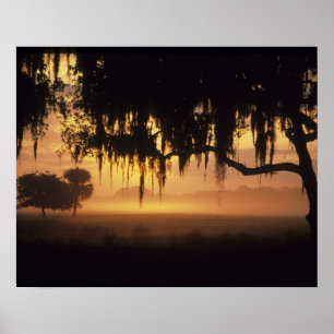 Póster EE.UU., Florida, Lago Kissimmee. Silueta de sol