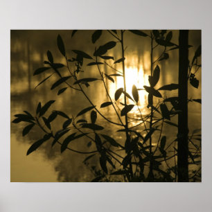 Póster EE.UU., Georgia, Callaway Gardens, Sunrise