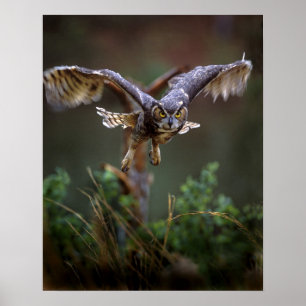 Póster EE.UU., Georgia, Montaña Pine, Jardines Callaway.