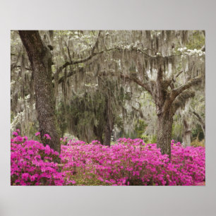 Póster EE. UU., Georgia, Savannah, Primavera en Historic