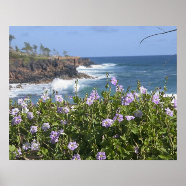Póster EE. UU., Hawái, Kauai, cerca de Kapaa, noroeste (Frente)