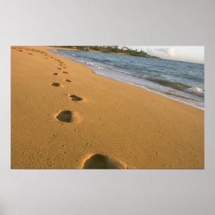 Póster EE. UU., Hawái, Kauai, Kapa'a, frente a la playa.