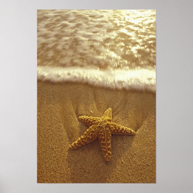 Póster EE. UU., Hawái, Maui, Maui, Kihei, Estrella de mar (Frente)