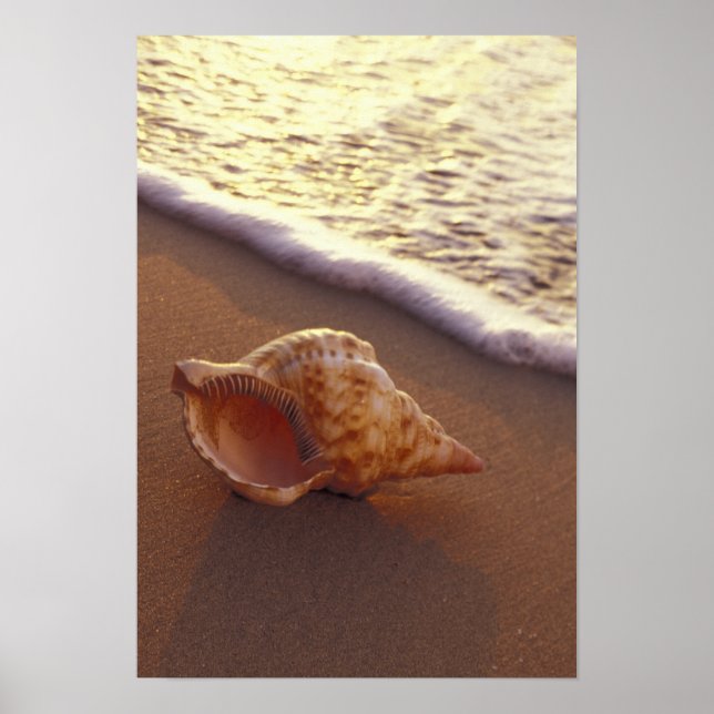 Póster EE.UU., Hawaii, Maui, Kihei, la noche se enciende (Frente)