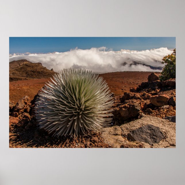 Póster EE.UU., Hawaii, Maui, Parque Nacional Haleakala (Frente)