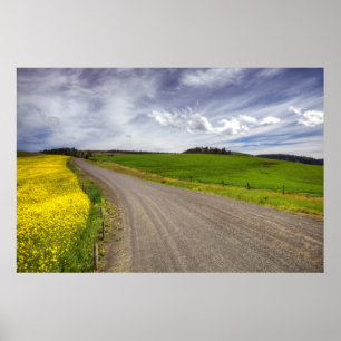 Póster EE. UU., Idaho, Condado de Idaho, Campo de canola