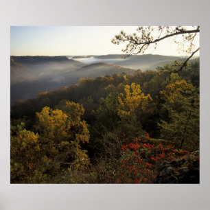 Póster EE.UU., Kentucky. Bosque Nacional Daniel Boone.