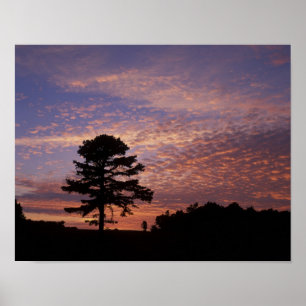 Póster EE.UU., Kentucky, Cumberland Gap National