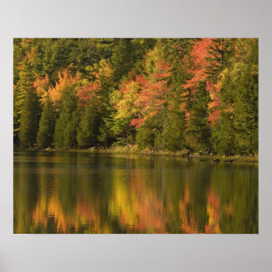 Póster EE.UU.; Maine; Acadia NP. Reflexiones de caída en