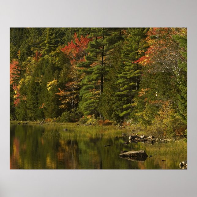 Póster EE. UU.; Maine; PN de Acadia. Reflejos de otoño a  (Frente)