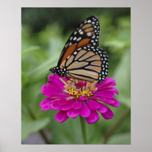 Póster EE.UU., Massachusetts, Boylston, Tower Hill