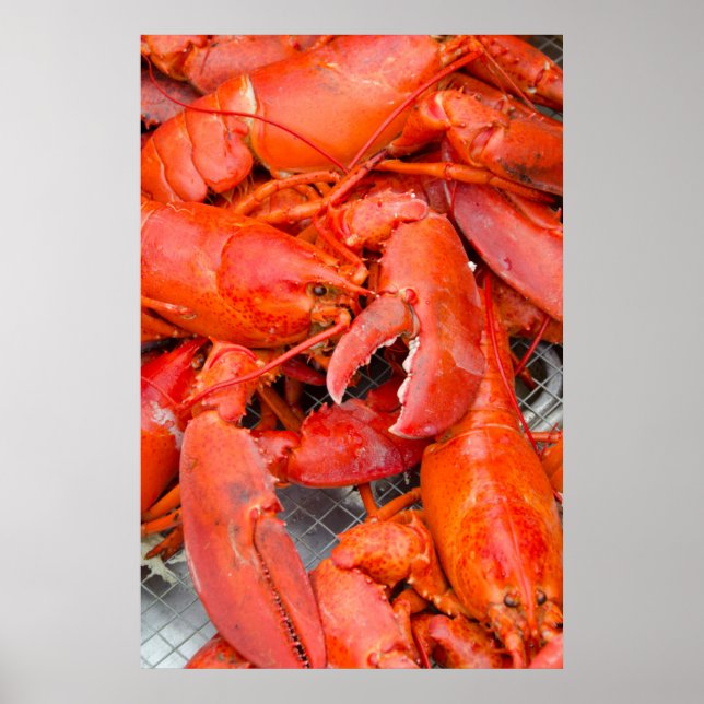 Póster EE. UU., Massachusetts, Martha's Vineyard (Frente)