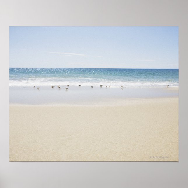 Póster EE.UU., Massachusetts, playa vacía 3 (Frente)