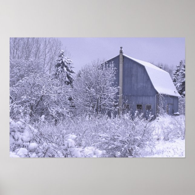 Póster EE. UU., Michigan, Rochester Hills. Azul nevado (Frente)