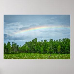 Póster EE. UU., Minnesota. Pradera verde con flores silve