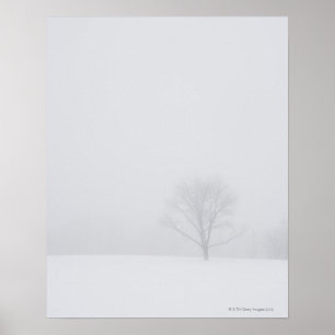 Póster EE.UU., Nueva Jersey, árbol solitario en el paisaj