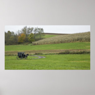 Póster EE. UU., Ohio nororiental. Carruaje Amish en granj