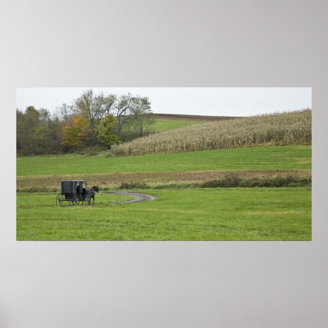 Póster EE. UU., Ohio nororiental. Carruaje Amish en granj (Frente)
