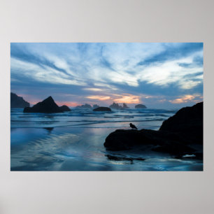 Póster EE.UU., Oregón, Bandon Beach. Gaviota en roca