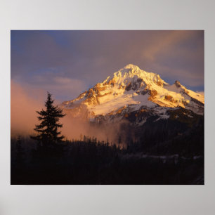 Póster EE. UU., Oregón, Bosque Nacional Mt. Hood. Rodando