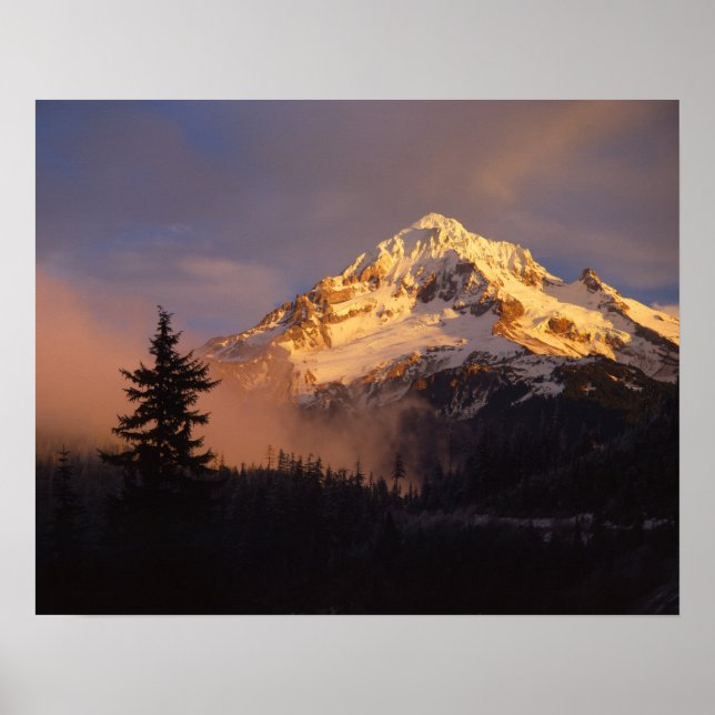 Póster EE. UU., Oregón, Bosque Nacional Mt. Hood. Rodando (Frente)