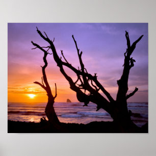 Póster EE. UU., Oregón, Cape Meares. Atardecer