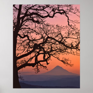 Póster EE.UU., Oregón, Columbia River Gorge National 2