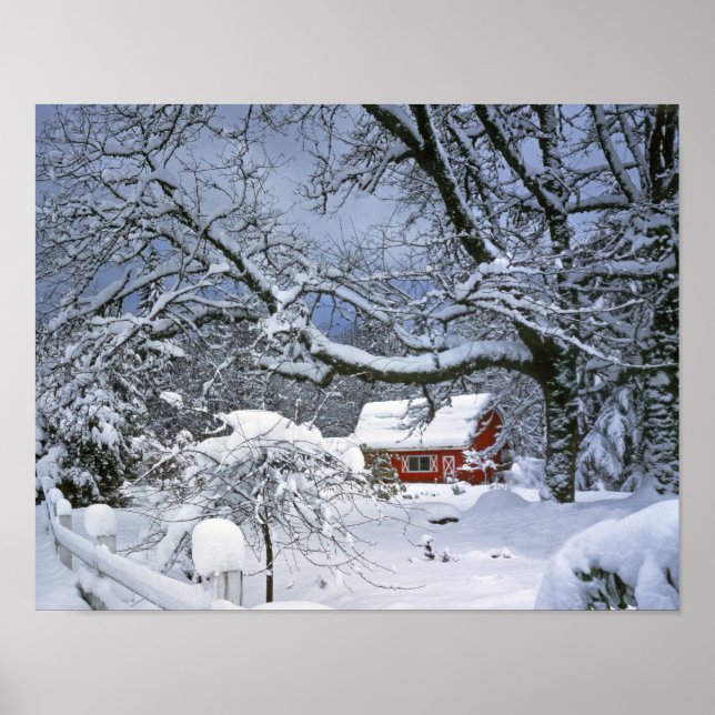 Póster EE. UU., Oregón, condado de Clackamas. Nieve fresc (Frente)