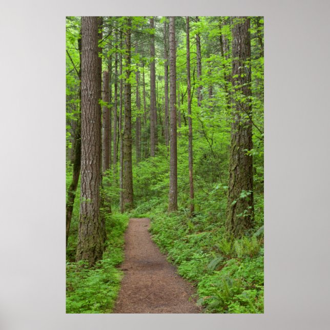 Póster EE.UU., Oregón, desfiladero del río Columbia. Elow (Frente)