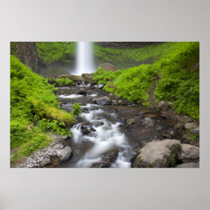 Póster EE.UU., Oregón, desfiladero del río Columbia, Lato