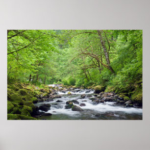Póster EE. UU., Oregón, desfiladero del río Columbia, Tan