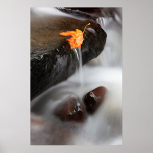 Póster EE. UU., Oregón, desfiladero del río Columbia, Tan