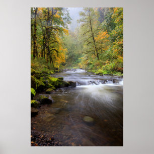 Póster EE. UU., Oregón, desfiladero del río Columbia, Tan