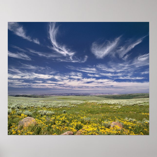 Póster EE. UU., Oregón, Monte Steens. La primavera estall (Frente)