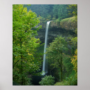 Póster EE.UU., Oregón, Parque Estatal Silver Falls